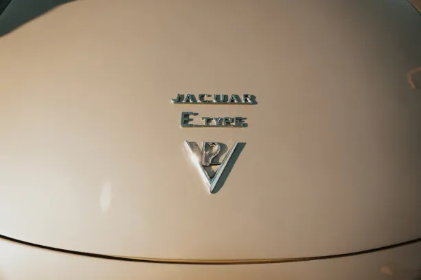 Untold Casino Aip Android/iOS